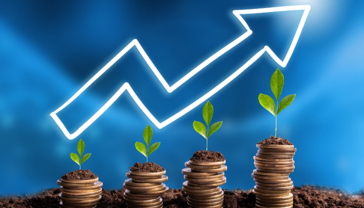 Découvrez les meilleurs placements financiers et profitez d’une gestion efficace avec La Financière du Patrimoine à Paris